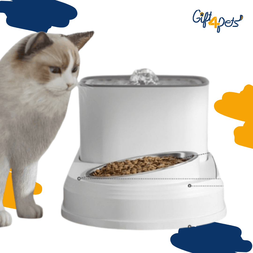 Bebedero Automático con Cuenco de Alimentación para Gatos | Fuente de Agua 2 en 1 con Filtro de Recirculación y Capacidad de 3L - Image 2